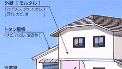 hւ`FbN|Cg