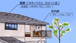 hւ`FbN|Cg